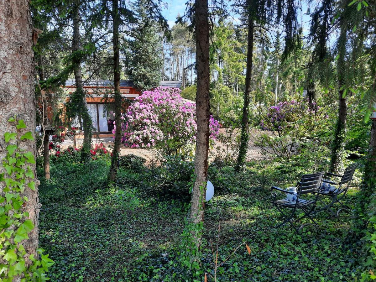 Ferienhaus Leon Mit Sauna Rehburg-Loccum Eksteriør billede