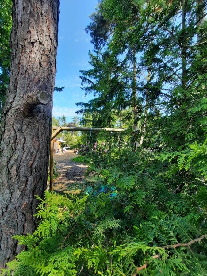 Ferienhaus Leon Mit Sauna Rehburg-Loccum Eksteriør billede