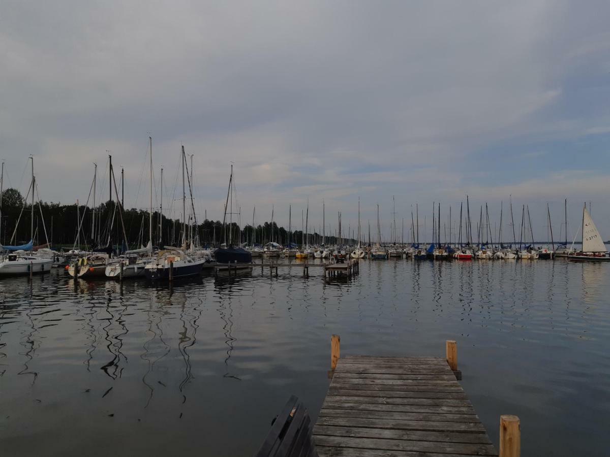 Ferienhaus Leon Mit Sauna Rehburg-Loccum Eksteriør billede